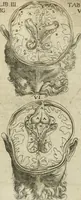Picture 86 of 129 from Anatomiae amphitheatrvm effigie triplici, more et conditione varia, designatvm (1623), leaf 170