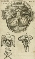An illustration from Anatomiae amphitheatrvm effigie triplici, more et conditione varia, designatvm (1623)