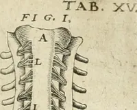 An illustration from Anatomiae amphitheatrvm effigie triplici, more et conditione varia, designatvm (1623)