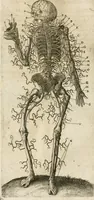 An illustration from Anatomiae amphitheatrvm effigie triplici, more et conditione varia, designatvm (1623)