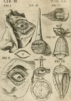 Picture 98 of 129 from Anatomiae amphitheatrvm effigie triplici, more et conditione varia, designatvm (1623), leaf 193