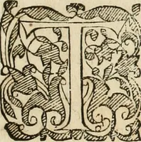 An illustration from Anatomiae amphitheatrvm effigie triplici, more et conditione varia, designatvm (1623)