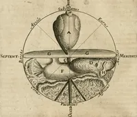 Picture 102 of 129 from Anatomiae amphitheatrvm effigie triplici, more et conditione varia, designatvm (1623), leaf 221