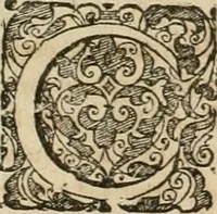 Picture 105 of 129 from Anatomiae amphitheatrvm effigie triplici, more et conditione varia, designatvm (1623), leaf 226