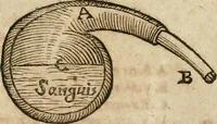 Picture 106 of 129 from Anatomiae amphitheatrvm effigie triplici, more et conditione varia, designatvm (1623), leaf 234