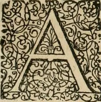 Picture 112 of 129 from Anatomiae amphitheatrvm effigie triplici, more et conditione varia, designatvm (1623), leaf 258