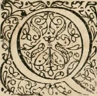 Picture 113 of 129 from Anatomiae amphitheatrvm effigie triplici, more et conditione varia, designatvm (1623), leaf 271