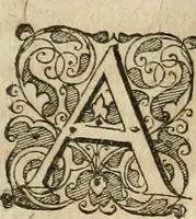 Picture 121 of 129 from Anatomiae amphitheatrvm effigie triplici, more et conditione varia, designatvm (1623), leaf 298