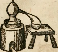 Picture 22 of 129 from Anatomiae amphitheatrvm effigie triplici, more et conditione varia, designatvm (1623), leaf 35