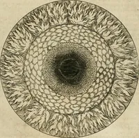 Picture 31 of 129 from Anatomiae amphitheatrvm effigie triplici, more et conditione varia, designatvm (1623), leaf 48