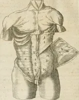An illustration from Anatomiae amphitheatrvm effigie triplici, more et conditione varia, designatvm (1623)