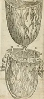 An illustration from Anatomiae amphitheatrvm effigie triplici, more et conditione varia, designatvm (1623)