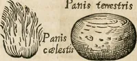 Picture 9 of 129 from Anatomiae amphitheatrvm effigie triplici, more et conditione varia, designatvm (1623), leaf 9