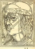 An illustration from Anatomiae, hoc est, corporis humani dissectionis pars prior, in qua singula quae ad caput spectant recensentur membra atque singulae partes, singulis suis ad uiuum commodissimè expressis figuris, deliniantur (1537)