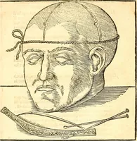 Picture 5 of 26 from Anatomiae, hoc est, corporis humani dissectionis pars prior, in qua singula quae ad caput spectant recensentur membra atque singulae partes, singulis suis ad uiuum commodissimè expressis figuris, deliniantur (1537), leaf 32