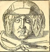 Picture 6 of 26 from Anatomiae, hoc est, corporis humani dissectionis pars prior, in qua singula quae ad caput spectant recensentur membra atque singulae partes, singulis suis ad uiuum commodissimè expressis figuris, deliniantur (1537), leaf 34