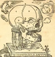 An illustration from Anatomiae, hoc est, corporis humani dissectionis pars prior, in qua singula quae ad caput spectant recensentur membra atque singulae partes, singulis suis ad uiuum commodissimè expressis figuris, deliniantur (1537)