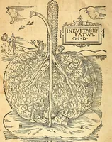 An illustration from Anatomiae, hoc est, corporis humani dissectionis pars prior, in qua singula quae ad caput spectant recensentur membra atque singulae partes, singulis suis ad uiuum commodissimè expressis figuris, deliniantur (1537)