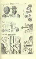 An illustration from Anatomia, ex Caspari Bartholini parentis Institutionibus, (1651)