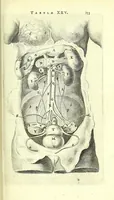 An illustration from Anatomia, ex Caspari Bartholini parentis Institutionibus, (1651)