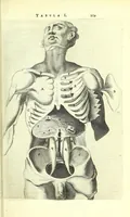 An illustration from Anatomia, ex Caspari Bartholini parentis Institutionibus, (1651)