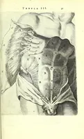 An illustration from Anatomia, ex Caspari Bartholini parentis Institutionibus, (1651)