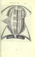 An illustration from Anatomia, ex Caspari Bartholini parentis Institutionibus, (1651)