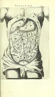 An illustration from Anatomia, ex Caspari Bartholini parentis Institutionibus, (1651)