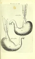 Picture 8 of 43 from Anatomia, ex Caspari Bartholini parentis Institutionibus, (1651), leaf 75