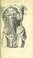 An illustration from Anatomia, ex Caspari Bartholini parentis Institutionibus : (1666)