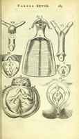 Picture 15 of 38 from Anatomia, ex Caspari Bartholini parentis Institutionibus : (1666), leaf 209