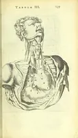 An illustration from Anatomia, ex Caspari Bartholini parentis Institutionibus : (1666)