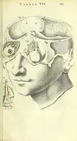 Picture 27 of 38 from Anatomia, ex Caspari Bartholini parentis Institutionibus : (1666), leaf 367
