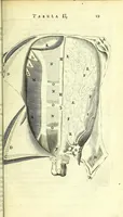 An illustration from Anatomia, ex Caspari Bartholini parentis Institutionibus : (1666)