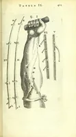 Picture 31 of 38 from Anatomia, ex Caspari Bartholini parentis Institutionibus : (1666), leaf 435