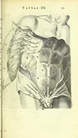 An illustration from Anatomia, ex Caspari Bartholini parentis Institutionibus : (1666)