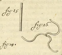 An illustration from Anatomia seu interiora rerum : cum animatarum tum inanimarum [sic], ope & nebeficio [sic] exquisitissimorum microscopiorum detecta, variisque experimentis demonstrata, una cum discursu & ulteriore dilucidatione epistolis quibusdam ad celeberrimum quod ser[enissi]mi Magnae Brittanniae Regis auspicio Londini floret, Philosophorum Collegium datis comprehensa (1687)