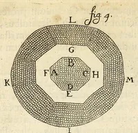 An illustration from Anatomia seu interiora rerum : cum animatarum tum inanimarum [sic], ope & nebeficio [sic] exquisitissimorum microscopiorum detecta, variisque experimentis demonstrata, una cum discursu & ulteriore dilucidatione epistolis quibusdam ad celeberrimum quod ser[enissi]mi Magnae Brittanniae Regis auspicio Londini floret, Philosophorum Collegium datis comprehensa (1687)
