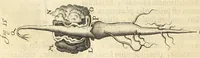 An illustration from Anatomia seu interiora rerum : cum animatarum tum inanimarum [sic], ope & nebeficio [sic] exquisitissimorum microscopiorum detecta, variisque experimentis demonstrata, una cum discursu & ulteriore dilucidatione epistolis quibusdam ad celeberrimum quod ser[enissi]mi Magnae Brittanniae Regis auspicio Londini floret, Philosophorum Collegium datis comprehensa (1687)