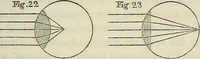 An illustration from Anatomical manipulation, or, The methods of pursuing practical investigations in comparative anatomy and physiology : also an introduction to the use of the microscope, etc., and appendix (1844)