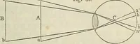 An illustration from Anatomical manipulation, or, The methods of pursuing practical investigations in comparative anatomy and physiology : also an introduction to the use of the microscope, etc., and appendix (1844)