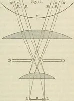 An illustration from Anatomical manipulation, or, The methods of pursuing practical investigations in comparative anatomy and physiology : also an introduction to the use of the microscope, etc., and appendix (1844)