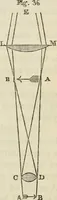 An illustration from Anatomical manipulation, or, The methods of pursuing practical investigations in comparative anatomy and physiology : also an introduction to the use of the microscope, etc., and appendix (1844)