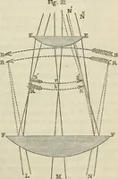 An illustration from Anatomical manipulation, or, The methods of pursuing practical investigations in comparative anatomy and physiology : also an introduction to the use of the microscope, etc., and appendix (1844)