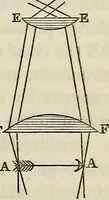 An illustration from Anatomical manipulation, or, The methods of pursuing practical investigations in comparative anatomy and physiology : also an introduction to the use of the microscope, etc., and appendix (1844)