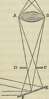 An illustration from Anatomical manipulation, or, The methods of pursuing practical investigations in comparative anatomy and physiology : also an introduction to the use of the microscope, etc., and appendix (1844)