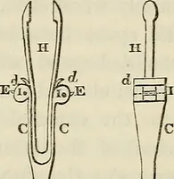 An illustration from Anatomical manipulation, or, The methods of pursuing practical investigations in comparative anatomy and physiology : also an introduction to the use of the microscope, etc., and appendix (1844)