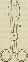 An illustration from Anatomical manipulation, or, The methods of pursuing practical investigations in comparative anatomy and physiology : also an introduction to the use of the microscope, etc., and appendix (1844)