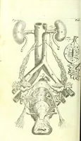 Picture 6 of 16 from The anatomy of humane bodies epitomized : (1697), leaf 260