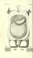 An illustration from The anatomy of humane bodies epitomized : (1697)